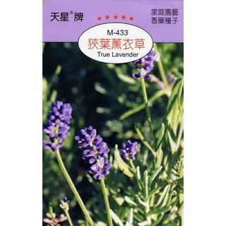 天星牌 狹葉薰衣草 True Lavender 種子 - 野菜部屋穗耕種苗, 1包
