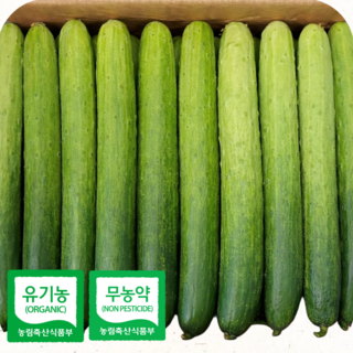 하늘농부 친환경 백다다기 오이 2kg 가정 아삭오이 신선채소, 1