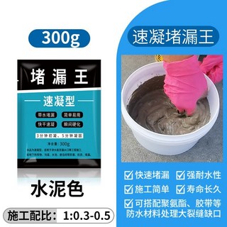 鑫隆五金 正品堵漏王 快乾水泥 砂漿膠防水 補漏 速乾防漏劑 衛生間 填縫膠 泥修補屋頂, 1個, 【速乾型】堵漏王300g