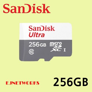 티피링크 Tapo C210 C200 C320WS C310 C225 C110 C110 C500 C510W C520WS VIGI 홈캠 CCTV 녹화용 메모리카드 Micro SD카드, 1개, 256GB