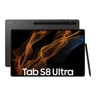 삼성전자 갤럭시탭 S8 Ultra SM-X900, 128GB, Wi-Fi