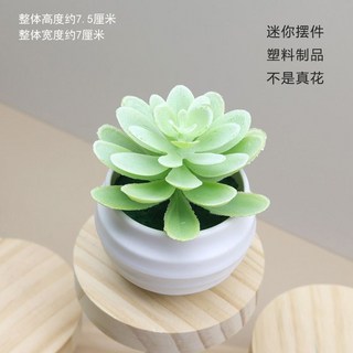 甜蜜cosmetics 仿真多肉植物盆栽組閤 假肉肉綠植花盆套裝 辦公室桌面裝飾, 1個, 仿真多肉白綠（帶盆）