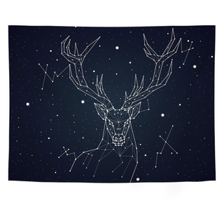 우아한클릭 일러스트 드로잉 패브릭포스터 천 가리개커튼 소형 대형 특대형, A-13(GT095)