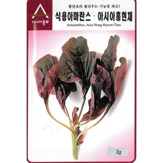 식용 아마란스 채소 씨앗 홍현채 3g 비름 모종 종자 종묘, 1개