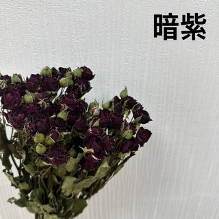 花藝夢*荷蘭進口 乾燥迷你多頭玫瑰花 *原裝販售* 迷你玫瑰 乾燥花 不凋花 乾燥花材, 暗紫