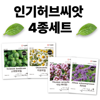 [주주씨앗] 허브씨앗 4종세트 스위트바질 카모마일 타임 차이브 종자 씨 허브씨, 1개