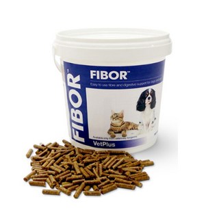 벳플러스 반려동물 파이보 영양제, 장건강/유산균, 500g, 1개