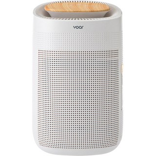 보아르 모아M1000 원룸 욕실 드레스룸 습기제거 공기청정 제습기 750ml VO-DH002-1, (정품인증)VO-DH002-1