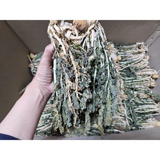 산청 무우청으로 말린 시래기 500g 1kg, 씨래기1kg, 1개