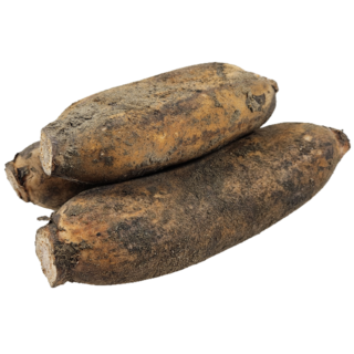 [사계농산]새벽에 수확한 햇 연근, 1박스, 1kg