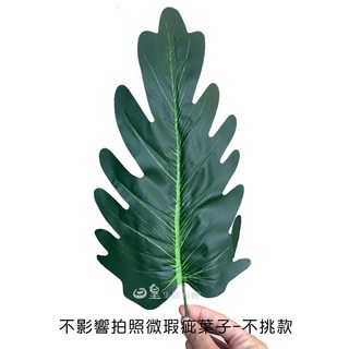 仿真葉子 拍照道具 椰子葉 龜背葉 韓國極簡ins 攝影背景 擺飾 假葉子 假草 拍照小物 佈置 日皇, 1個, 不影響拍照微瑕疵葉子-隨機