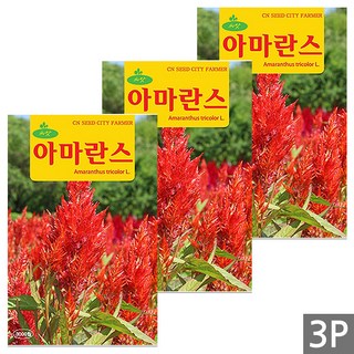 세인화분 아마란스 3000립 - 꽃씨 꽃씨앗 씨 씨앗, 3개