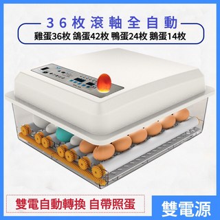 110V全自動孵化機，台灣12h出貨，小型家用雞鴨鵝鴿子雙電源孵蛋器, 1個, 36枚【110V+12V雙電】送大禮包