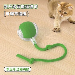 강아지 자동 공놀이 공던지기 훈련 자동공놀이 장난감, 그린 (끈) Type-C 충전, 1개