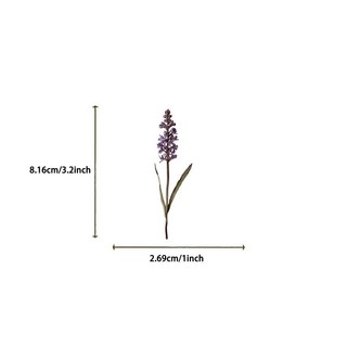 50張透明卡通植物標本貼紙 手賬裝飾吉他筆記本用, 1個