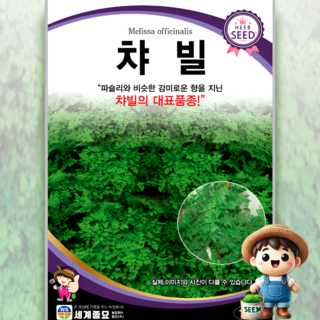 챠빌 100립 일반종 식용꽃 허브 꽃씨 씨앗 종자 세계, 1개