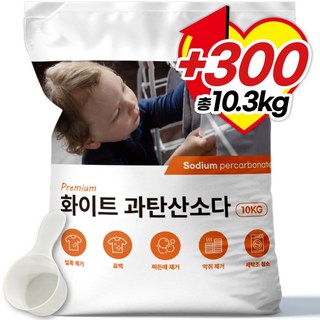 더푸룸 과탄산소다 대용량 다용도 세탁세제 국내제조 산소계표백제, 1개, 10kg