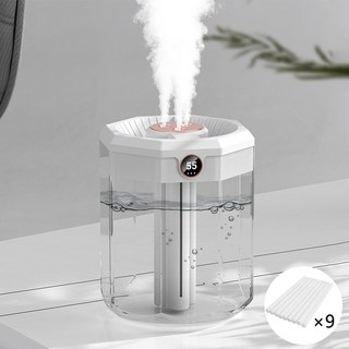 NUNUHANA 초음파식 대용량 삼공 분사스트 가습기 2L, 화이트