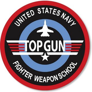 RBF現貨 F-14 10CM 貼紙 S-C-F14FWS 戰機造型 防水耐用 個性裝飾, 1個