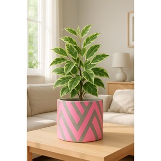 모던레시피 아트패턴 시멘트 인테리어 화분 헤링본, 1개, 화이트