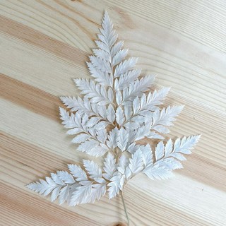 VITO zakka 高山羊齒蕨 永生花材 DIY創作 手作花圈材料 拍攝道具, 灰白1片, 1個
