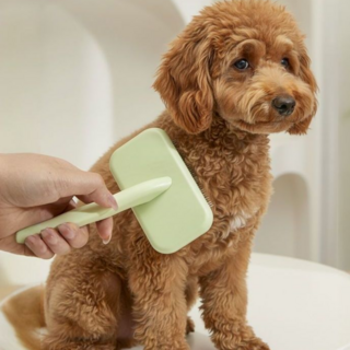 홈온리 강아지 빗브러쉬 엉킨털제거, 1개, 소형