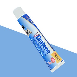 [자이목스] 오라틴 메인터넌스 투스페이스트 겔 70g 치약, 1개