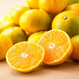 벌꿀당도 제주직송 프리미엄하우스농법 제주감귤 하우스감귤, 1개, 5kg(로얄과)