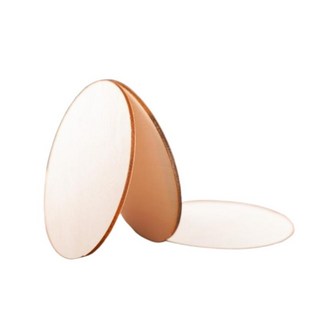 黃楊木薄片 DIY手工藝木片, A【單片】圓型10公分, 1個