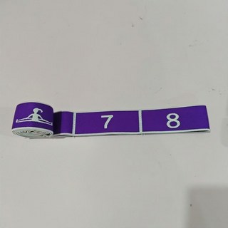 數字阻力帶 肌肉訓練彈力帶 健身帶 鍛鍊帶 (中老年適用), 紫色【10檔調節 鍛鍊臀大肌 增強腿部力, 1個