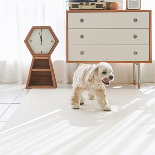 이리로 반려동물 실리폼매트 논슬립 방수 방오, 1개, 코지 아이보리