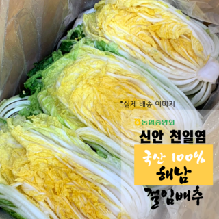 재구매율100% 맛있는 해남절임배추20kg, 12월 6일(토) 도착, 1박스, 20kg