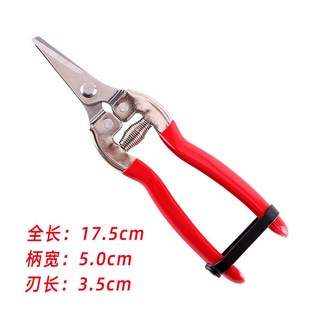 新款長刃不銹鋼剪 園林摘果采果剪刀 稀果盆景園藝工具 樹枝修剪, 1個, L1短花枝剪（不帶插卡包裝）