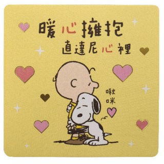 史努比 口袋萬用卡 造型小卡 查理布朗, 1個, 暖心