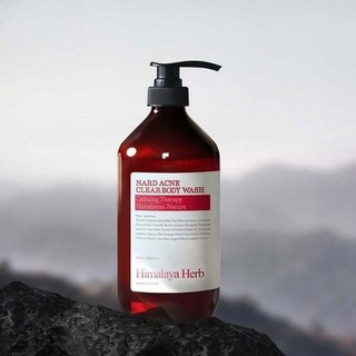 韓國 NARD ACNE 淨膚沐浴乳 家庭號1000ml 深層清潔毛孔 舒緩痘痘肌 全家適用, 1個