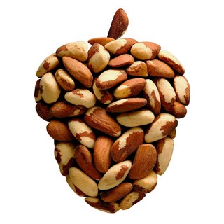 맛을그리다 햇 브라질너트 1kg A급 최근통관, 1개