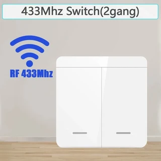 16A/20A Tuya WiFi 스마트 스위치 RF 433MHz Gang 무선 벽 홈 LED 램프 용 Alexa Google Assistant와 함께, 14 Only 2 Gang