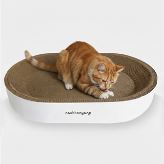 내꼬냥 가성비 고양이스크래쳐 양면 타원형 오목한 보울형 캣 스크래처 장난감 용품, 1개, 화이트