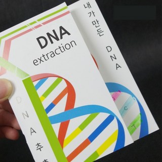 DNA추출법[동물세포]10인set