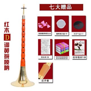 公司貨精制初學者嗩吶樂器全套烏木嗩吶d調成人大小號專業嗩吶成人初學熱銷, 1個