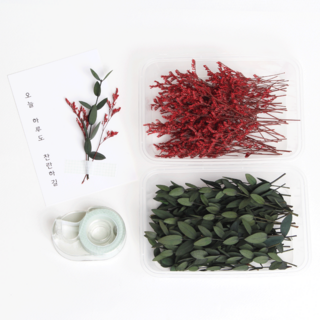 화연양화 청첩장 DIY 꾸미기 올인원키트 꽃2세트 테이프 커터기 포함, 03 레드