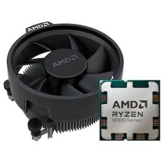 AMD 라이젠5-5세대 8500G (피닉스) (멀티팩(정품))