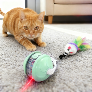 사시한사 고양이 자동 스마트 볼 장난감, 1개, 그린