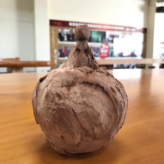 祐全生技牛樟木風化木 寶瓶 木製藝術擺件 YT 67-70, YT 68