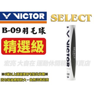 VICTOR 勝利 SELECT 練習球 B-09 羽球, 1個