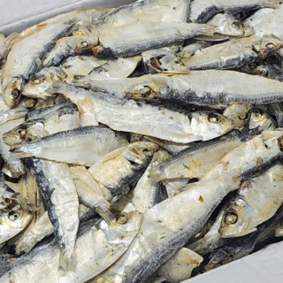 엄마애바다 디포리 밴댕이 1.5kg 국물용 육수용 김장용 대멸치, 1박스