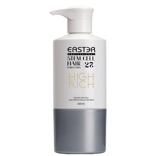 이스터 헤어 트리트먼트 파마 염색 탈색 클리닉 헤어팩 스템셀 500ml 전문가용, 1개