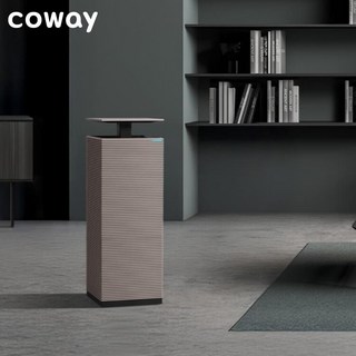 코웨이 노블 제습 공기청정기 APD-1025E방문설치, 페블그레이