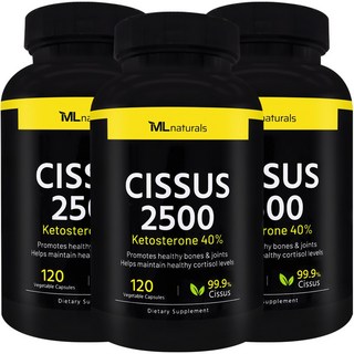 [미국빠른직구] 마이라이프 내추럴스 시서스 2500 케토스테론 40% 120정 3병, 3개