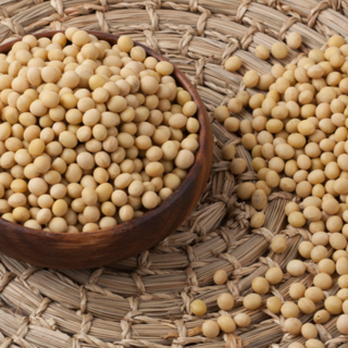 [25년산][늘찬팜] 국내산 잡곡 백태 콩 메주콩 콩국수용, 1개, 3kg